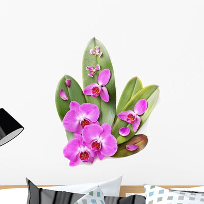 Beautiful Purple Orchids Wall Decal shown on a wall