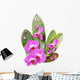 Beautiful Purple Orchids Wall Decal