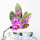 Beautiful Purple Orchids Wall Decal