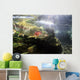Rainbow Trout In The Kulik River Wall Mural