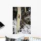 Woman Ice Climber Ascends A Large Icefall In Southcentral Alaska Wall Mural
