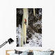 Woman Ice Climber Ascends A Large Icefall In Southcentral Alaska Wall Mural
