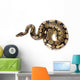 Royal or Ball Python Wall Decal
