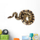 Royal or Ball Python Wall Decal