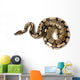 Royal or Ball Python Wall Decal