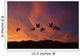Sandhill Cranes At Bosque Del Apache National Wildlife Refuge Fall Wall Mural
