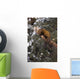 Marten Caught In Leg Trap On Hutinana Creek Wall Mural