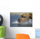 Mother Brown Bear And Her Cubs Chase Salmon Wall Mural