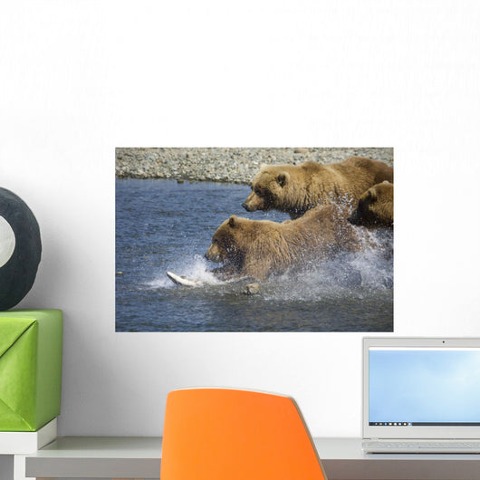 Mother Brown Bear And Her Cubs Chase Salmon Wall Mural