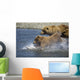 Mother Brown Bear And Her Cubs Chase Salmon Wall Mural