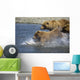 Mother Brown Bear And Her Cubs Chase Salmon Wall Mural