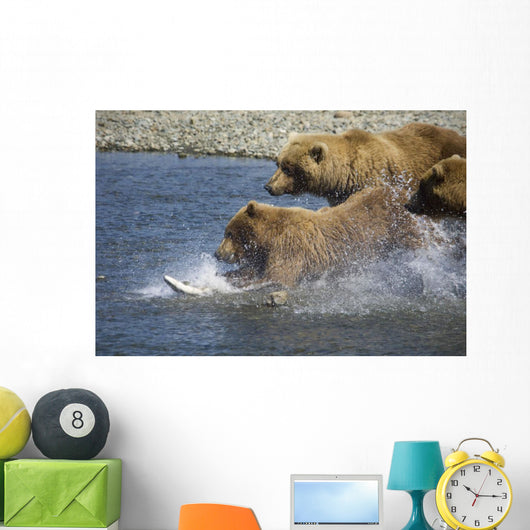 Mother Brown Bear And Her Cubs Chase Salmon Wall Mural