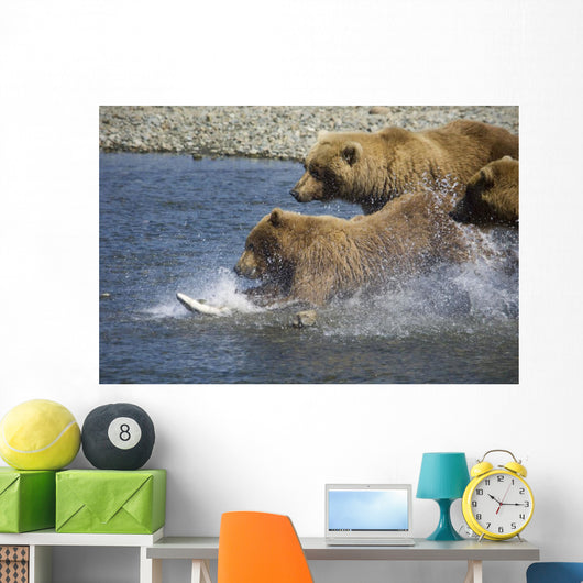 Mother Brown Bear And Her Cubs Chase Salmon Wall Mural