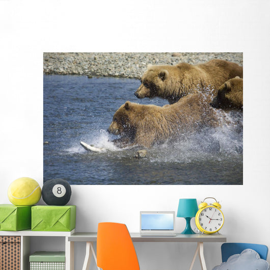 Mother Brown Bear And Her Cubs Chase Salmon Wall Mural