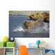 Mother Brown Bear And Her Cubs Chase Salmon Wall Mural