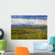 View Of The North Side Of Mt Mckinley Wall Mural