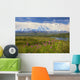 View Of The North Side Of Mt Mckinley Wall Mural