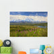 View Of The North Side Of Mt Mckinley Wall Mural