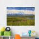 View Of The North Side Of Mt Mckinley Wall Mural