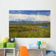 View Of The North Side Of Mt Mckinley Wall Mural