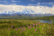 View Of The North Side Of Mt Mckinley Wall Mural