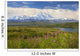 View Of The North Side Of Mt Mckinley Wall Mural