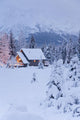 Snowcovered Home In A Wintry Meadow At Dawn With Inside Lights On Wall Mural