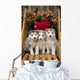 Siberian Husky Puppies Wall Mural