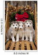 Siberian Husky Puppies Wall Mural
