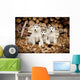 Three Siberian Husky Puppies Sit Wall Mural