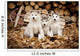 Three Siberian Husky Puppies Sit Wall Mural
