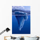 Tip Of The Iceberg Digital Composite Wall Mural