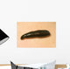 Medicinal Leech-Hirudo Medicinalis Wall Mural