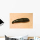 Medicinal Leech-Hirudo Medicinalis Wall Mural