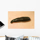 Medicinal Leech-Hirudo Medicinalis Wall Mural