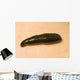 Medicinal Leech-Hirudo Medicinalis Wall Mural