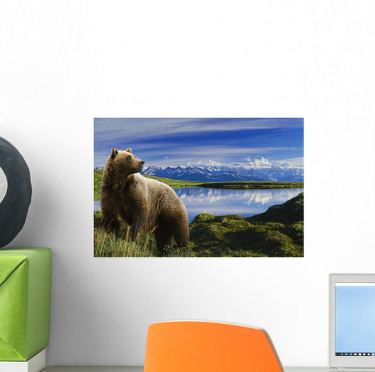 Composite Grizzly Stands In Front Of Lake With Mt Mckinley Wall Mural