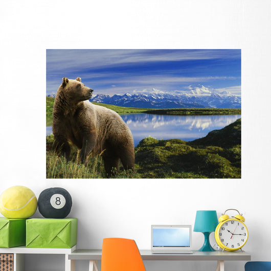 Composite Grizzly Stands In Front Of Lake With Mt Mckinley Wall Mural
