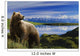 Composite Grizzly Stands In Front Of Lake With Mt Mckinley Wall Mural