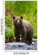 A Brown Bear Fishing For Salmon On The Russian River Wall Mural