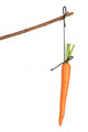 Carrot Wall Decal