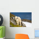 A Mountain Goat Wall Mural