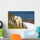 A Mountain Goat Wall Mural