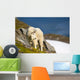 A Mountain Goat Wall Mural