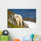 A Mountain Goat Wall Mural