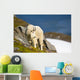 A Mountain Goat Wall Mural
