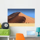 Serpentine Dune Wall Decal
