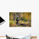 Man Mountain Biking With Dog Running Beside Him Wall Mural