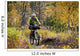 Man Mountain Biking With Dog Running Beside Him Wall Mural