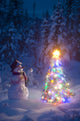 Snowman Stands Wall Mural